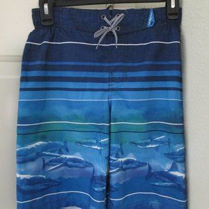 Zero Xposur Boy's Swim Shorts